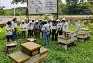 At the Beekeeping Technology Transfer Center