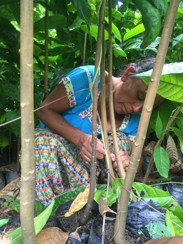 Sustainable Livelihoods for 100 Families