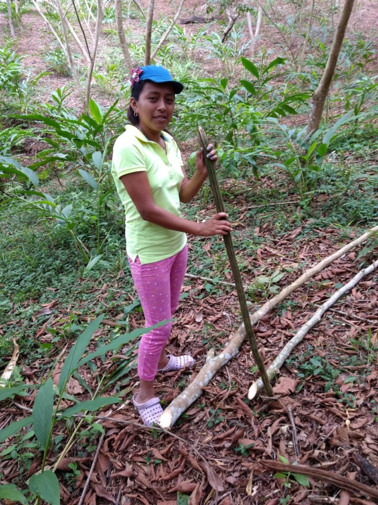 Sustainable Livelihoods for 100 Families