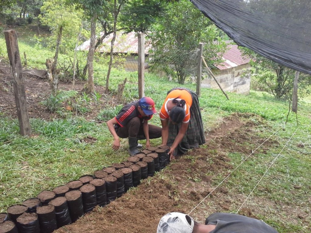 Sustainable Livelihoods for 100 Families