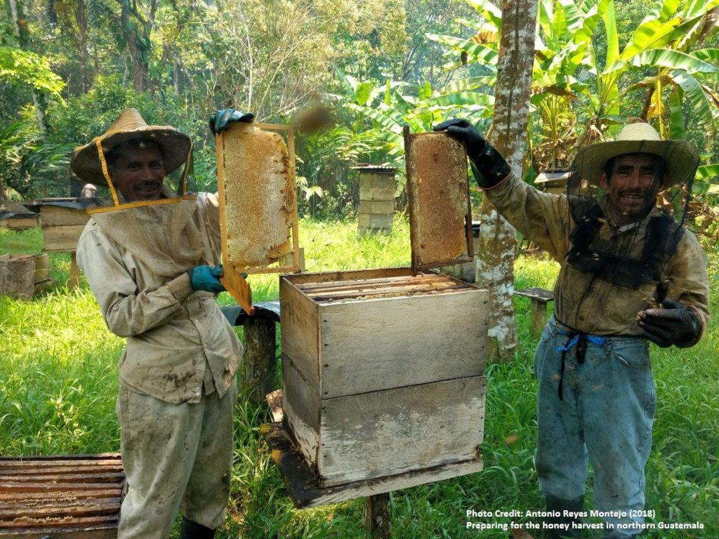 Sustainable Livelihoods for 100 Families
