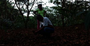 Luis and Angelica on plot with Inga and cardamom