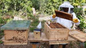 Follow up technical assistance on beekeeping