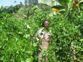Margaret Harvests Beans from her Garden