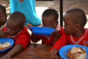 Two Meals Per Day