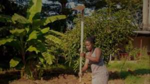 Preparing gardens for fruit and vegetables growing