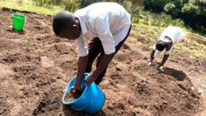 Preparing gardens for vegetable and fruit growing