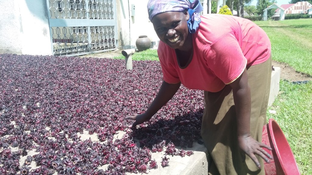 Mentoring Young Adults in Uganda into Innovators