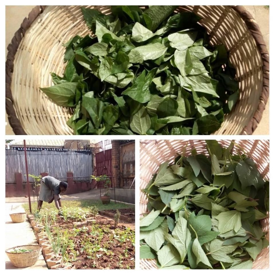 Mentoring Young Adults in Uganda into Innovators