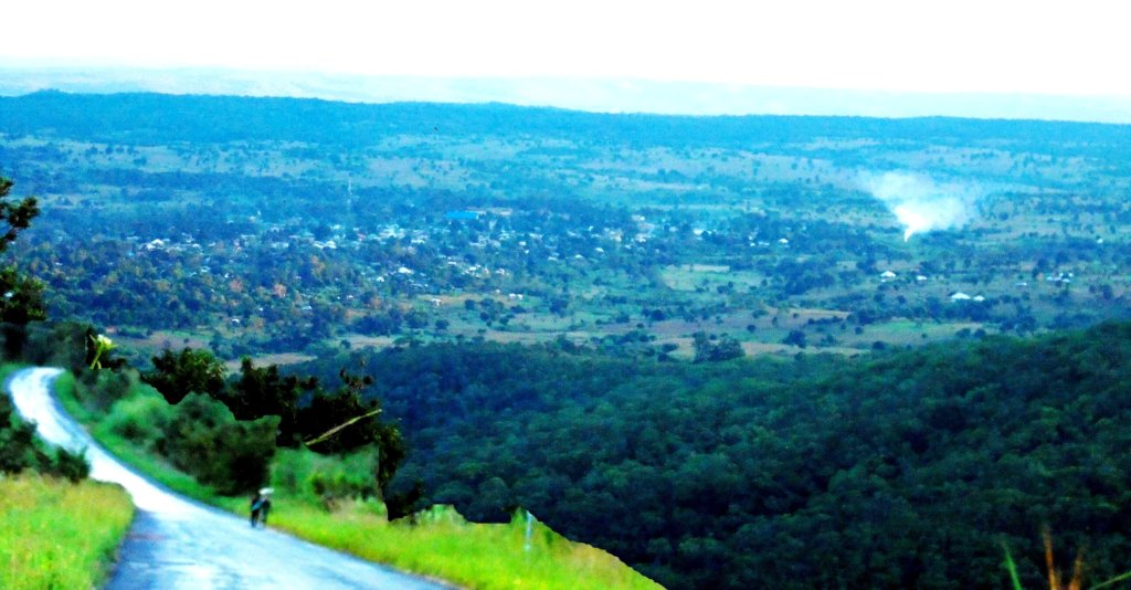 Enviro Conservation,Organic Farming and Beekeeping