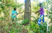 Enviro Conservation,Organic Farming and Beekeeping