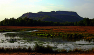 Bandhavgarh Landscape