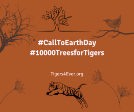Call to Earth Day Appeal
