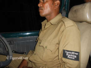 Tigers4Ever Poaching Patroller on Night Patrol