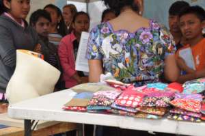 Reusable pads on display at the fair