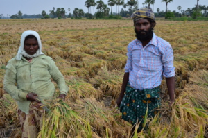 farmer suicide family