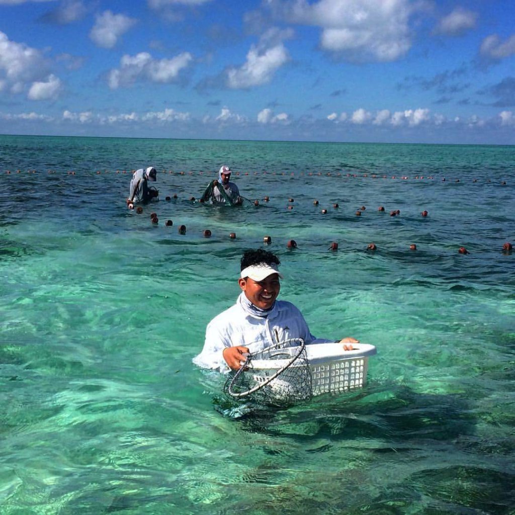 Friends of Ocean Academy, Belize, 2018-2019