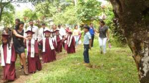 promocion  under the trees