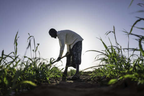 Protecting Farmers from Climate Change in Ethiopia