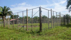Improved fencing on Agnis' farm