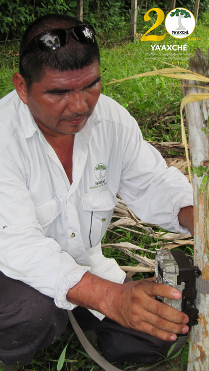 Reduce Clashes Between Jaguars & Farmers in Belize