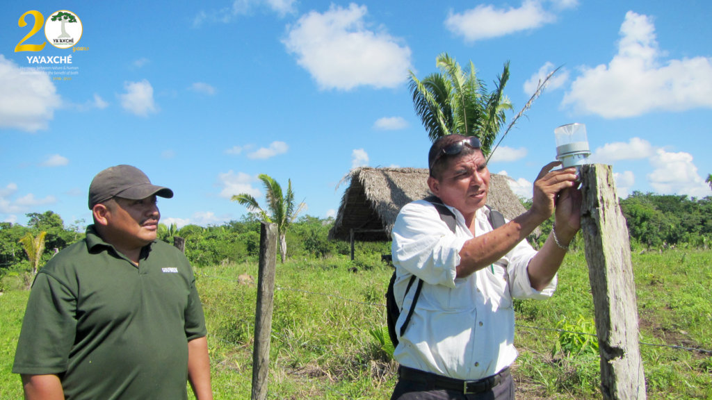 Reduce Clashes Between Jaguars & Farmers in Belize