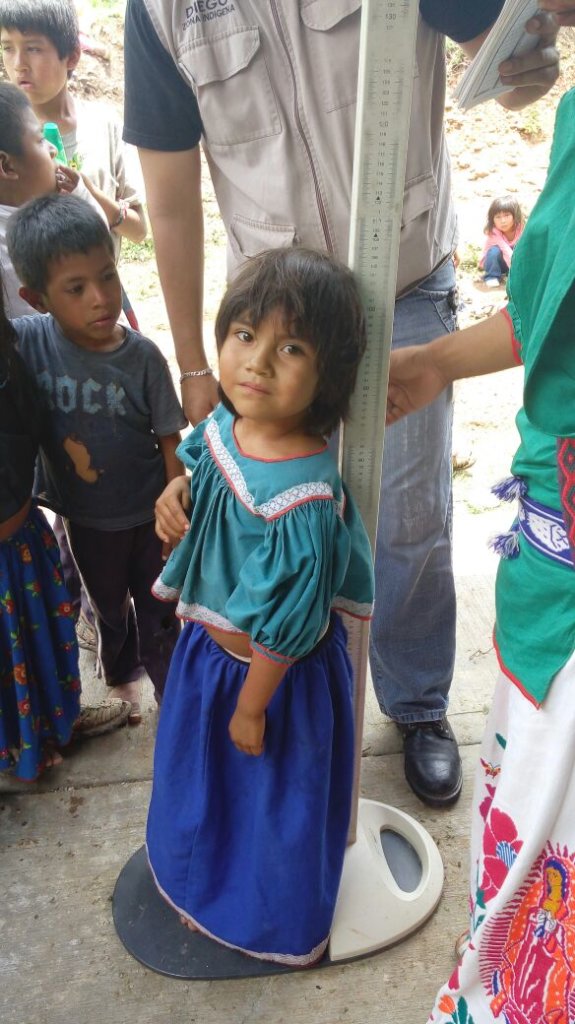 Nourishing 1100 children of the Wixarika Community