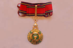 Development Medal