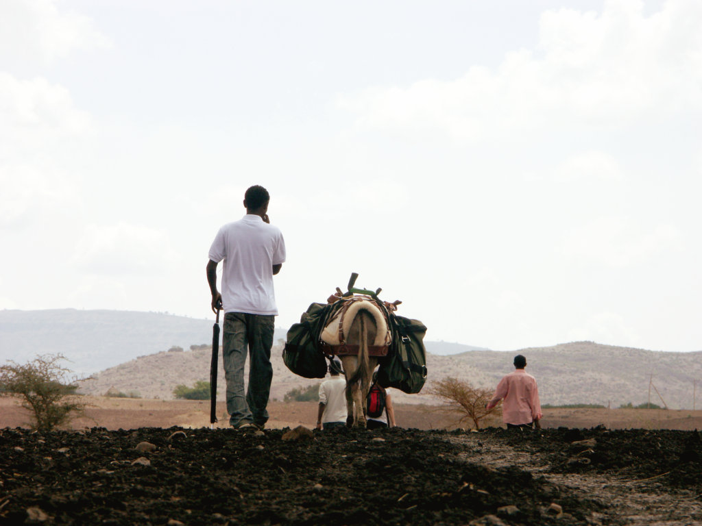 Donkey library for 1,250 rural Ethiopian children