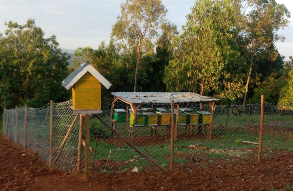 Equipping Hands for Effective Communication