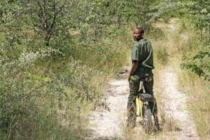 E-BIKES 4 Wildlife Protection