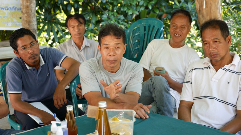 Harvesting honey saves forests and lives