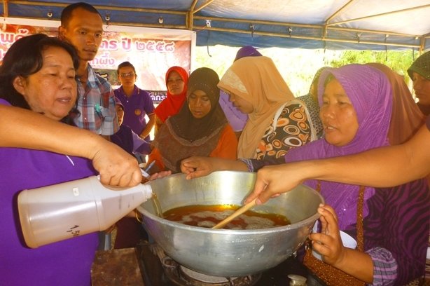 Harvesting honey saves forests and lives