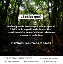 2017 "Sabia usted....?" series - to be updated!