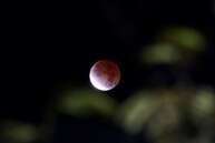 Get ready for "A Night in the Forest" 2023!