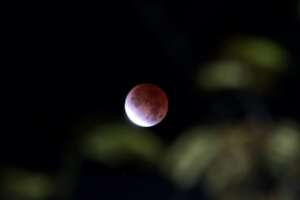 Getting ready for "A Night in the Forest"!