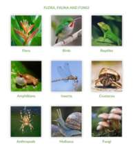 Working toward a new Forest Inventory catalogue