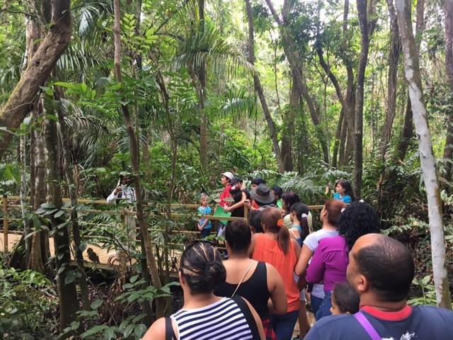 Enable an encounter with a rare Pterocarpus Forest