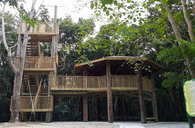 Enable an encounter with a rare Pterocarpus Forest