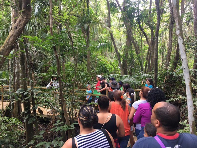 Enable an encounter with a rare Pterocarpus Forest