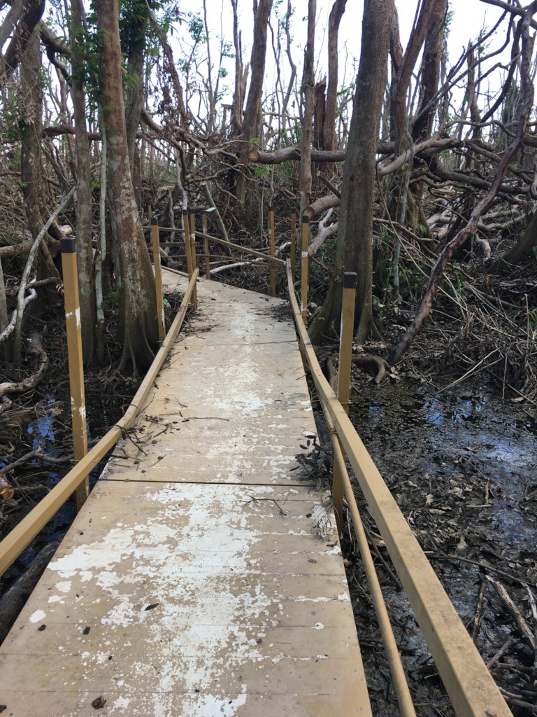 In the aftermath of Hurricane Maria: the Boardwalk