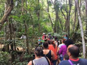 Organized tour through the Forest