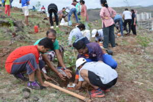 Our Youths on a Tree Plantation Drive