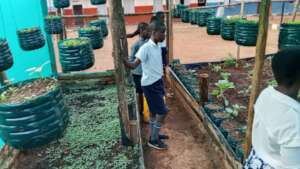 School Garden Improvement Project