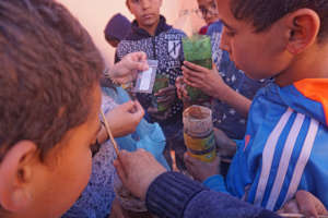 Planting Earth Day seedlings