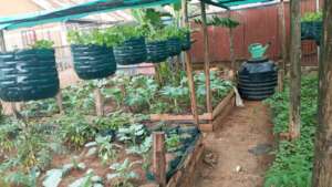 School Garden After