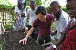 QSA & St. Jude testing seeds before distribution.