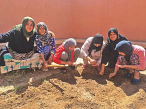 Planting at the dar taliba