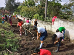 Preparing the soil in La Campa, Campira.