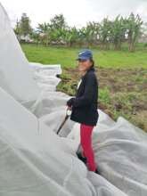 A student helping prep the greenhouse